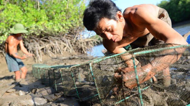 Muu sinh bang nghe bay bach tuoc trong rung ngap man-Hinh-6